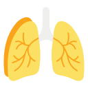 Clinically-Formulated Oral Probiotics